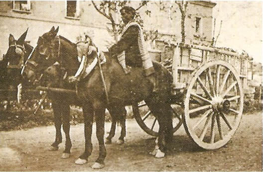 Llegada al mercado ganadero frente al hospital de Simón Ruiz. 1930