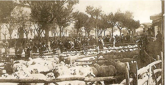 Mercado lanar frente al hospital de Simón Ruiz. H.1920