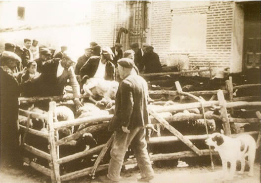 Mercado lanar junto al hospital de Simón Ruiz. 1929
