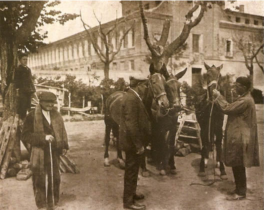 Tratantes de ganado frente al hospital de Simón Ruiz. 1930