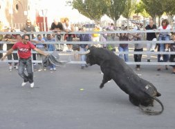 Uno de los toros hace un quiebro durante el encierro de ayer. / FRAN JIMÉNEZ