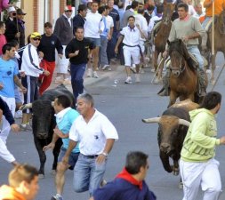 Encierro de Medina del Campo. / FRAN JIMÉNEZ 