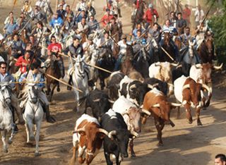 Encierro celebrado el pasado año en Medina del Campo. eldiadevalladolid.com