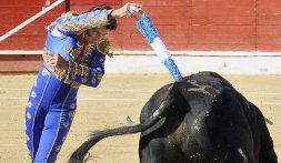 Juan José Padilla coloca banderillas al violín./ FRAN JIMÉNEZ 