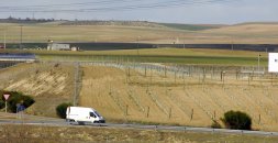 Terrenos de Medina del Campo, junto a la autovía, en cuyas proximidades se instalará la nueva cooperativa vitivinícola./ FRAN JIMÉNEZ