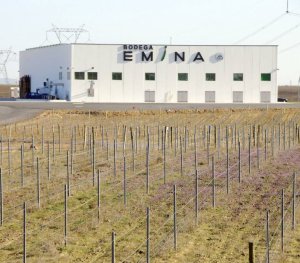 Bodega Emina de Medina del Campo. :: FRAN JIMÉNEZ