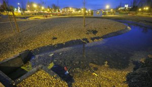 Envases en el fondo del río del parque del Chopal de Medina del Campo. :: FRAN JIMÉNEZ