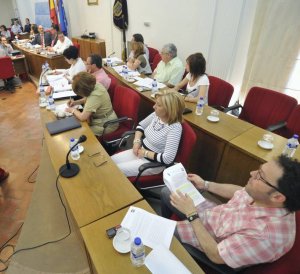 ültimo pleno municipal en Medina del Campo. :: FRAN JIMÉNEZ