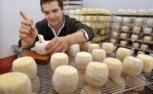 Miguel Pérez comprueba la cremosidad de una de sus tortas de queso al verdejo. :: FRAN JIMÉNEZ