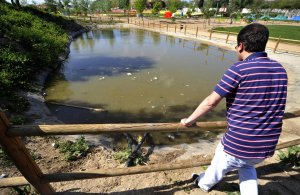 Un vecino observa las aguas sucias del estanque del parque de Las Ferias . :: FRAN JIMÉNEZ