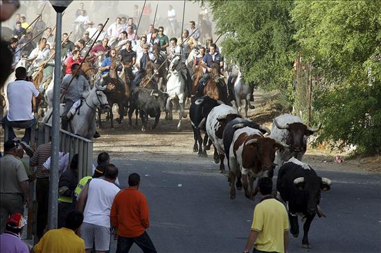 Encierro limpio y sin sustos para el disfrute de los corredores de Medina