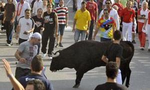 Un toro suelto llega hasta la entrada de la plaza de toros en la Avda. de Portugal/F. JIMÉNEZ 