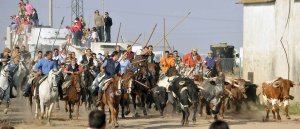 Los encierros de Medina del Campo