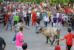 Encierro del Toro de la Feria. Abajo, a la izquierda, Abellán, con los alcaldes de Medina del Campo y Pedrajas. :: P. G. Y EFE