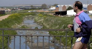 Tramo del río a su paso por el término municipal de Medina. :: FRAN JIMÉNEZ