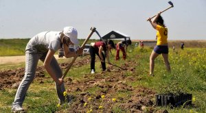 Varias jóvenes, ayer, durante la plantación de encimas en la Cañada Real. :: FRAN JIMÉNEZ