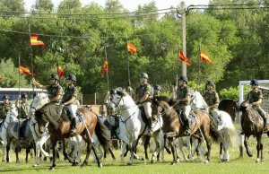 Exhibición de la Guardia Real en Medina del Campo. :: FRAN JIMÉNEZ