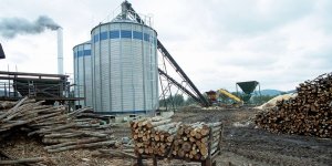 Imagen de una central de biomasa de producción eléctrica. :: BRIGIDO