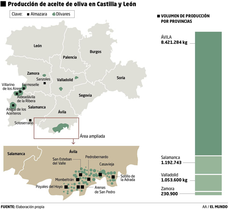 Producción de aceite de oliva en Castilla y León