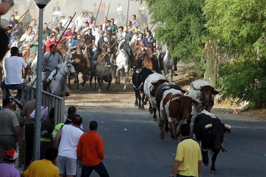 Caballistas durante un encierro en Medina del Campo con motivo de las fiestas de San Antolín. EFE/Archivo