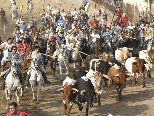 Los encierros de Medina están declarados fiestas de Interés Nacional. El Día de Valladolid