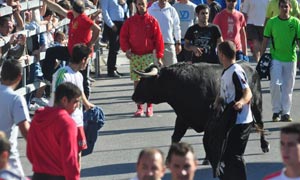 Encierro de hoy en Medina del Campo./ Fran Jiménez