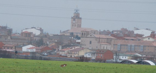 Vista panorámica de Mdedina del Campo. Al fondo, Iglesia Colegiata de San Antolín