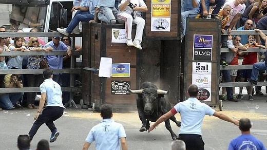 El Toro de la Feria de Medina del Campo sale del cajón para ser lidiado. / FRAN JIMÉNEZ