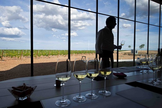 FOTO Ruta del Vino de Rueda. Miguel Ángel Muñoz