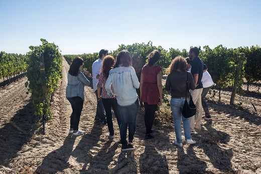 FOTO Ruta del Vino de Rueda. Miguel Ángel Muñoz