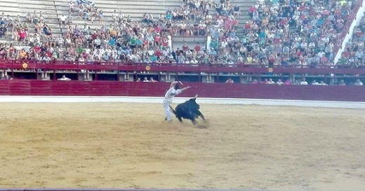 Medina del Campo: Moras gana el Concurso de Cortes ante 4.000 personas.