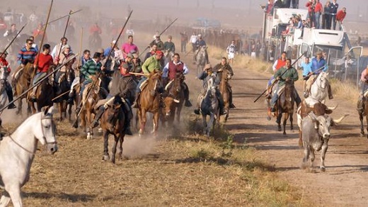 Uno de los encierros de las Fiestas de San Antolin 2015. / Fran Jiménez