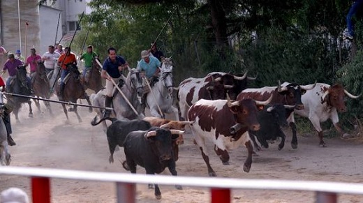 Una parte del recorrido del encierro de Medina del Campo / Fran Jiménez