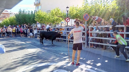 Las Fiestas de San Antolín y sus tradicionales encierros forman parte de la Agenda de Eventos 2018 / Cadena Ser