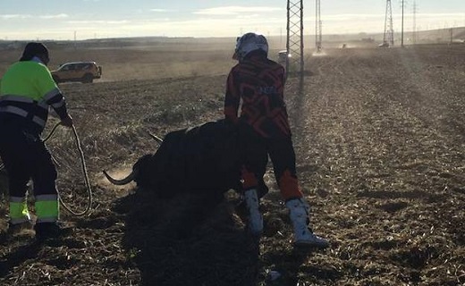 Segio Ayala con el toro. / EL NORTE