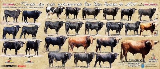 Cartel toros encierros e San Antolín de Medina del Campo