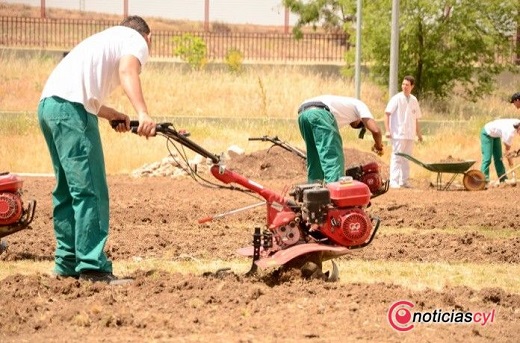 Los programas de integración social provinciales recibieron 1,4 millones públicos