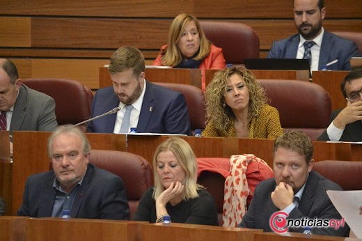 Procuradores del PSOE en un pleno de las Cortes.