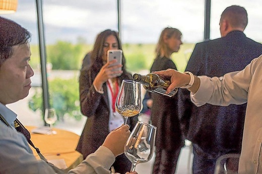 El vino como eje central del curso de enoturismo que da sus primeros pasos en el Castillo de la Mota. - E. M.