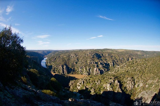 Las siete Rutas del Vino de Castilla y León