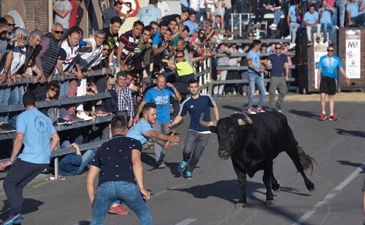 Toro del cajón de Medina el pasadoi 2 de junio. / R. J.