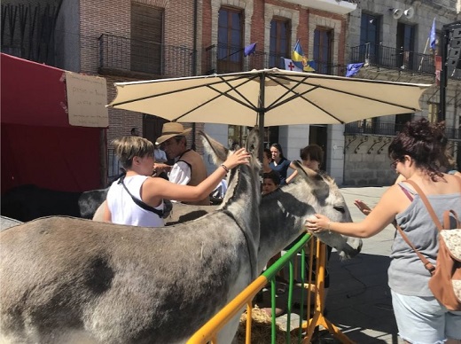 Medina espera 60.000 visitantes con las recreaciones de este fin de semana.