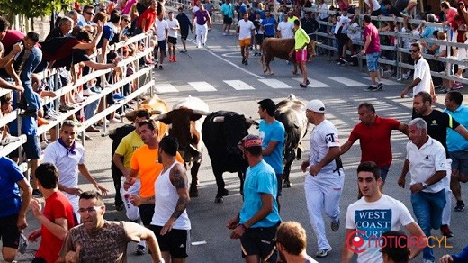 Encierro en Medina del Campo (Foto: Juanes).