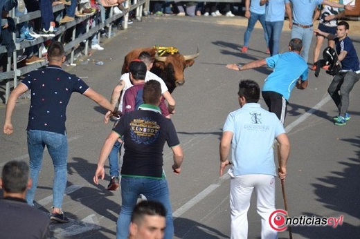 Los encierros de Medina traspasan fronteras gracias a Turmedina