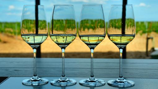 Cata de vinos de Verdejo - PILAR ARCOS