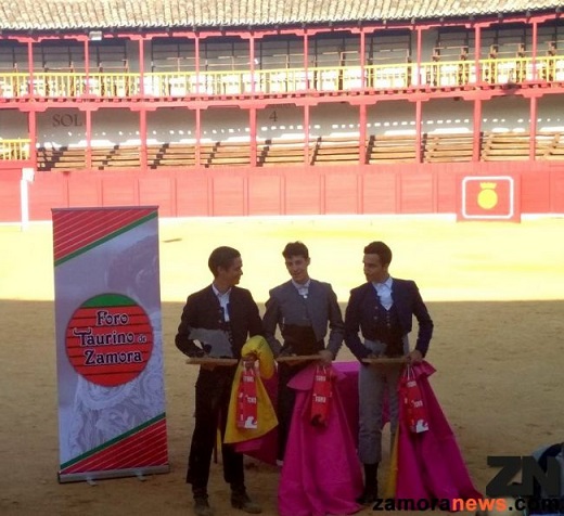 Diego García, de la Escuela de Colmenar Viejo, Borja Serrano, de la Escuela Taurina de Medina del Campo y Carlos Carmona, de la Escuela de Nava del Rey 