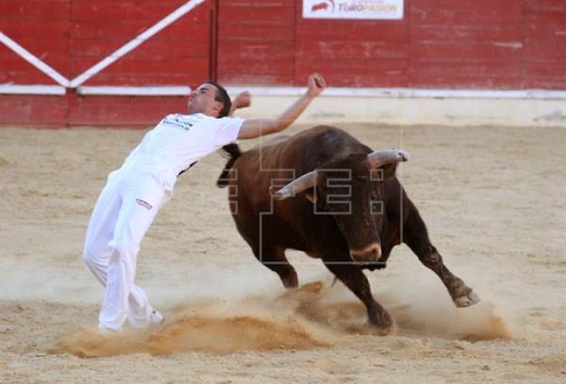 Foto de archivo. Concurso de cortes en la plaza de Medina del Campo (Valladolid). EFE