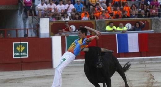 Un momento de un concurso de cortes celebrado en Zamora. Foto Emilio Fraile