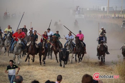 Encierro en Medina del Campo (Foto: Juanes).