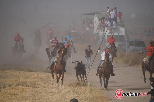 La ganadería de Valdefresno triunfa en San Antolín